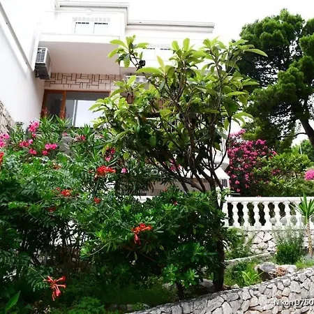 Draga & Lola Apartment Baska Voda Exterior photo